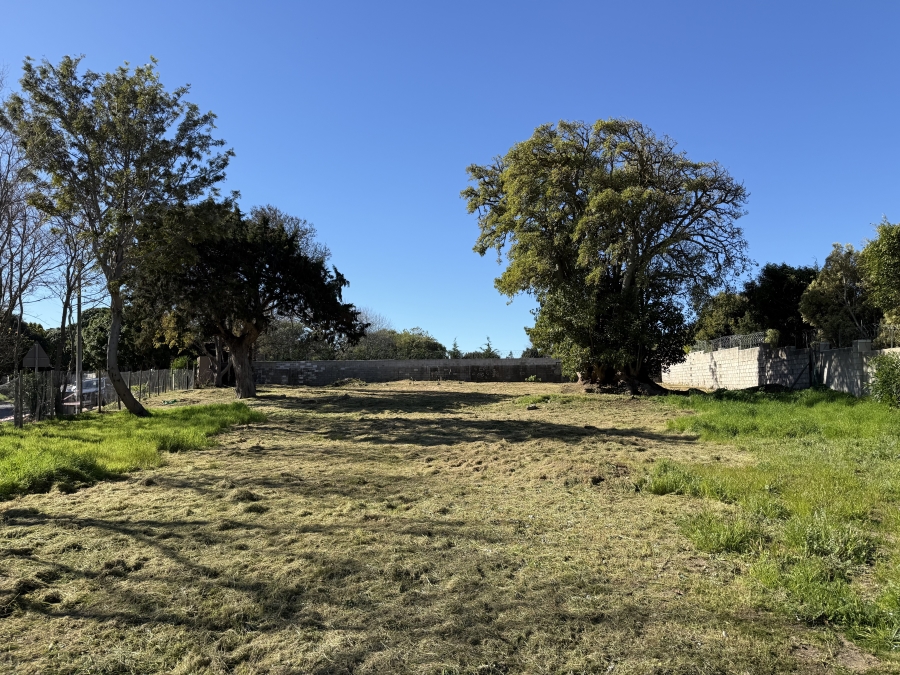 0 Bedroom Property for Sale in Belle Constantia Western Cape